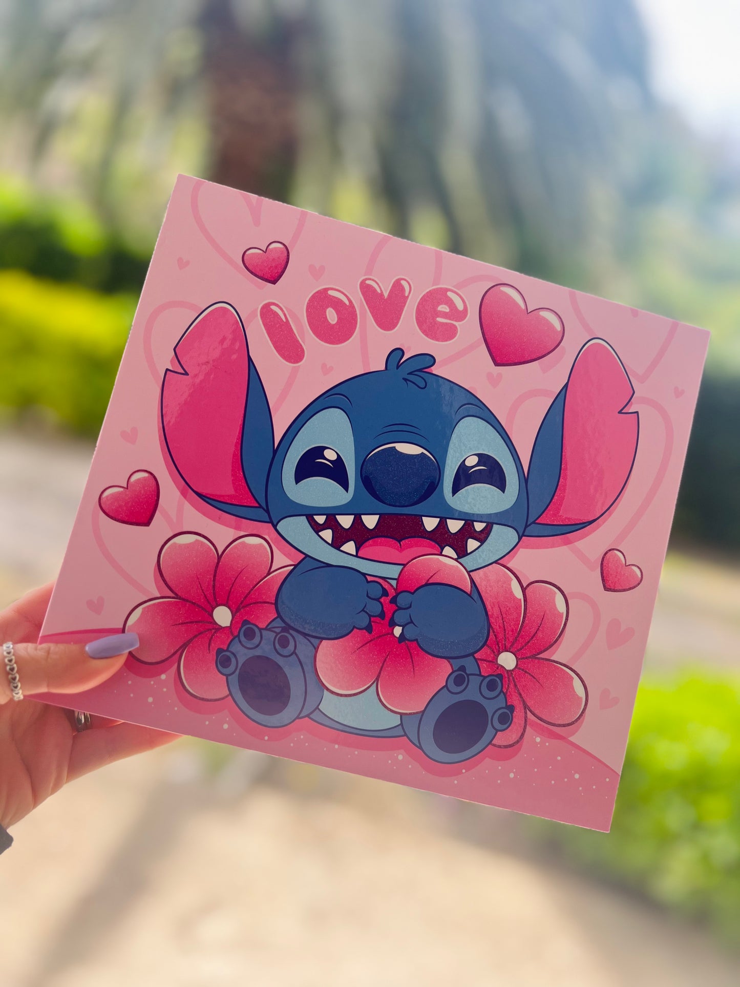 COFANETTO STITCH