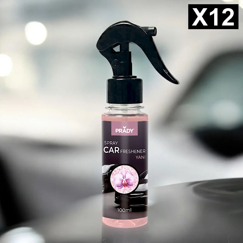 PROFUMATORE AUTO SPRAY DUPE PROFUMI